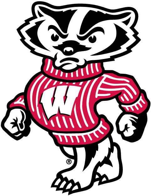 Wisconsin Badgers 2002-Pres Secondary Logo 01 iron on paper